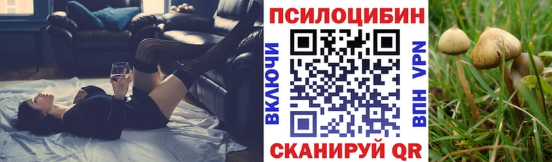 гидра ССЫЛКА  Спас-Деменск  Галлюциногенные грибы прущие грибы 